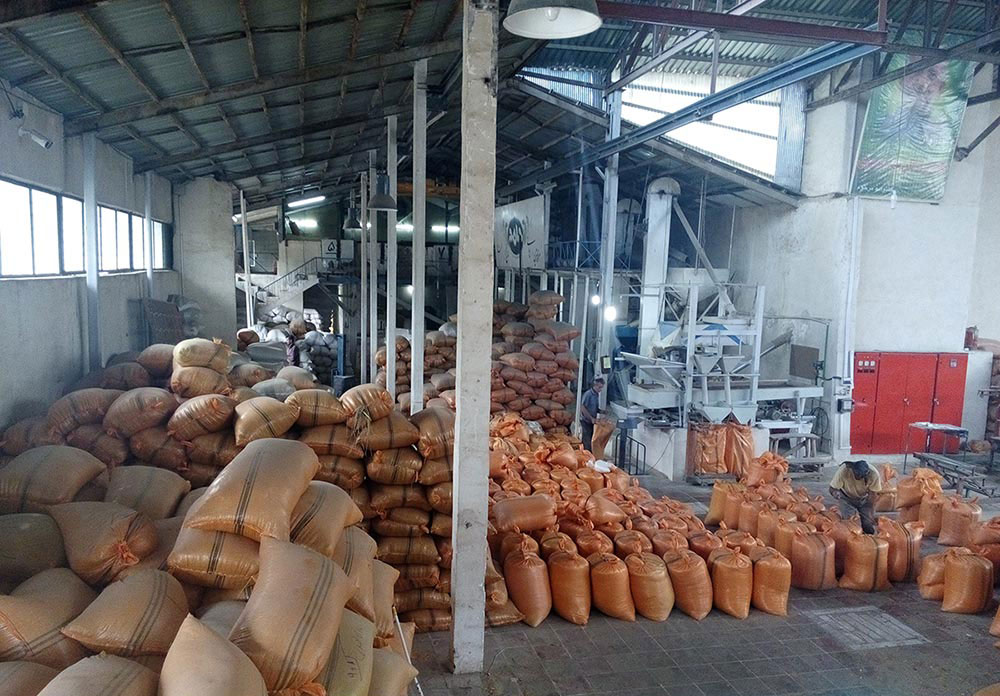 نصب دوربین مداربسته برنجکوبی موسوی