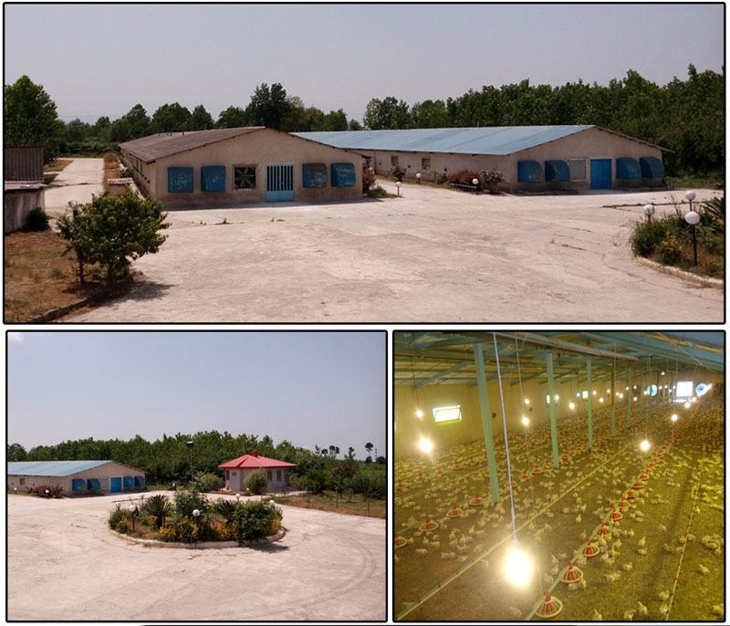 نصب دوربین مداربسته،دزدگیر و سیستم های امنیتی رشت