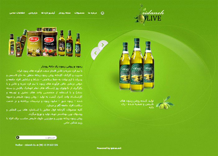 طراحی وبسایت در رشت